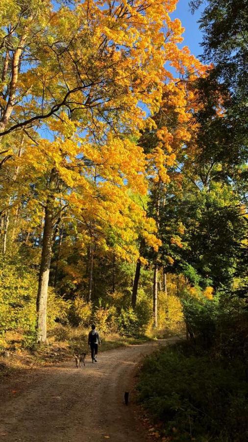 Pokoje Cztery Pory Roku Mikołajki Exteriör bild
